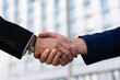 © Gonzalo - Two young business people shaking hands