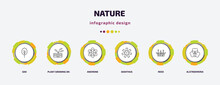Nature Infographic Template With Icons And 6 Step Or Option. Nature Icons Such As Oak, Plant Growing On Book, Anemone, Dianthus, Reed, Alstroemeria Vector. Can Be Used For Banner, Info Graph, Web,
