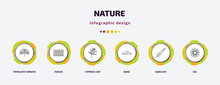Nature Infographic Template With Icons And 6 Step Or Option. Nature Icons Such As Trifoliate Ternate, Fences, Cypress Leaf, Dune, Subulate, Sol Vector. Can Be Used For Banner, Info Graph, Web,