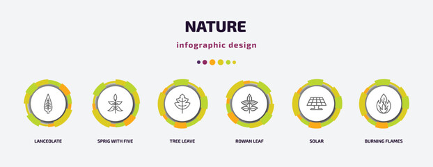 Poster - nature infographic template with icons and 6 step or option. nature icons such as lanceolate, sprig with five leaves, tree leave, rowan leaf, solar, burning flames vector. can be used for banner,
