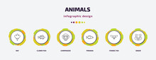 Animals Infographic Template With Icons And 6 Step Or Option. Animals Icons Such As Ray, Clown Fish, Chimpanzee, Piranha, Fennec Fox, Snigir Vector. Can Be Used For Banner, Info Graph, Web,