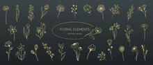 Floral Elements Set Of Line Icons Vector Illustration. Hand Drawn Outline Summer Plants With Leaves And Flowers, Sketches Of Buds And Blooms On Stem In Botanic Aesthetic Collection On Black Background
