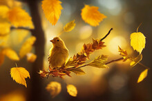 Yellow Finch On A Autumn Tree Branch 2