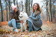 © Viktoria - two beautiful smiling girls with  Samoyed dog in the autumn park. redhead and brunette women have fun with fluffy beautiful dog