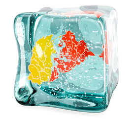 Poster - bhutanese map frozen in ice cube, 3d rendering