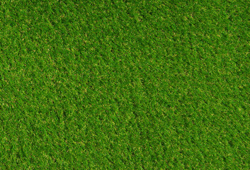 Sticker - Top view fresh green grass