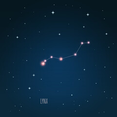 Wall Mural - constellation lynx scheme in starry sky. open space. vector illustration lynx constellation in open 
