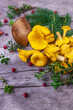 Raw wild mushrooms chanterelles on old wooden background. Vegetarian healthy product. Healthy lifestyle.