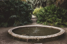 Circular Fountain With Concrete Edges In A Park In The Middle Of A Pedestrian Path Near Green Plants And Palm Trees.