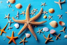  A Starfish Surrounded By Sea Shells And Other Sea Creatures On A Blue Background With A Blue Background And White Border.