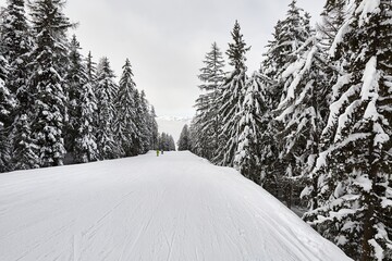 Canvas Print - Winter Snowy Mountain Road Landscape