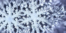 The Snowflake Is A Beautiful And Delicate Thing. Its Intricate Design Is Like No Other, With Each Arm Representing Something Different. Every Time It Snows, These Crystals Fall From The Sky And Blanke