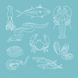 Set with seafood on blue background. Hand drawn sea fishes, oysters, mussels, lobster, squid and octopus, crabs, prawns. Healthy food natural set. Vector illustration