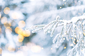 Wall Mural - snowy branches of christmas trees with lights from garlands against falling snow.