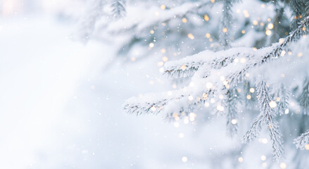Wall Mural - outside christmas tree in snow background with tree lights.