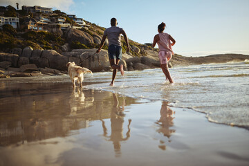 Sticker - Running, fitness and dog with couple at beach and training for health, workout and exercise together. Love, freedom and wellness with man and woman runner with pet by the ocean for sports and summer