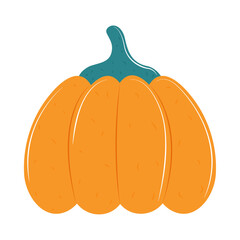 Poster - pumpkin vegetable icon