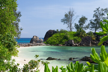 Wall Mural - Tropical beach with palm trees