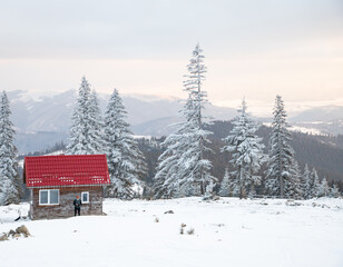 Wall Mural - trail runner with frozen beard training in winter landscape