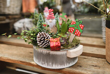 Christmas Composition With Santa And Hyacinths In A Pot