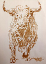 Running Bull Drawing Hand Made Sepia  Illustration 