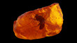 Hyper Realistic 3d render of an amber with embedded fly on a black background.