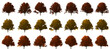isolated Oak tree set collection autumn season