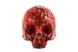 © Jakub Krechowicz - Human skull in blood isolated on white background with clipping path