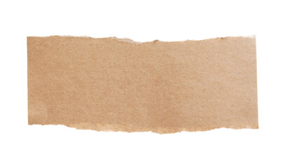 piece of brown paper isolated on white. space for text