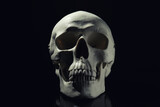 Fototapeta Tęcza - White human skull with teeth on black background