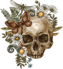 Skull with Wildflowers Transparent PNG