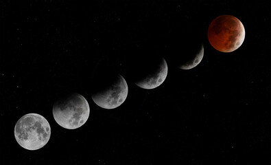 Wall Mural - blood moon eclipse phases nov 2022