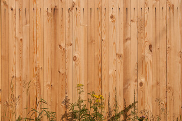 Wall Mural - wood texture with natural pattern background