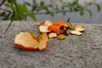 orange peel on a sidewalk