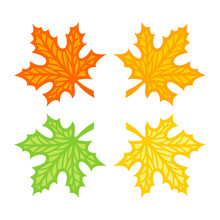 Picture Of Four Maple Leaves Isolated On White Background. Yellow, Green, Orange Veined Leaves In Simple Cartoon Style. Illustration On The Theme Of Autumn, Leaf Fall, Change Of Seasons In Nature. 