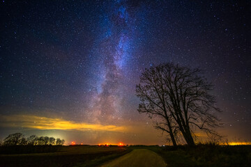 Wall Mural - Night landscape with colorful Milky Way, autumn sky