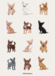 Chihuahua colors. Cute toy dogs characters in various poses, design for print, adorable and cute cartoon vector set, in different poses. All popular colors. Dog Drawing collection set.Standing,sitting