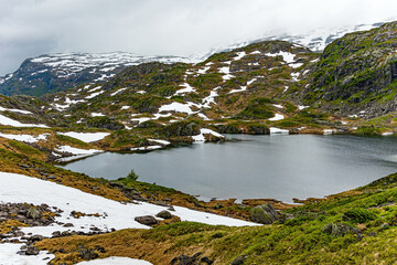 Sticker - Last year's snow and grey skies