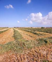 Poster - Field after spring harvest