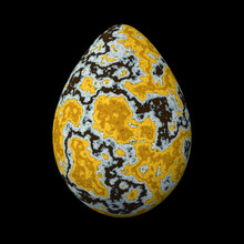 Egg With Yellow Lichen