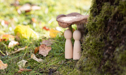 Close-up of two wooden figures standing under the umbrella of a mushroom. Concept for cohesion, teamwork, starting a family, partnership and building a house.