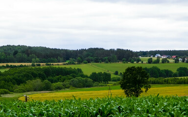 Fields and meadows of Wiezyca, Kashubia region, Poland