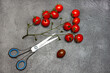 © 201122 - Sprig of red cherry tomatoes and scissors on black background.