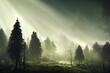 Mysterious dark haunted forest with last sun rays shining through creepy dead trees silhouettes at misty dawn or dusk. Fantasy woodland scenery .