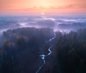 Wall Mural - aerial view of beautiful curving river and forest in fog at sunrise in autumn in ukraine. river, fog