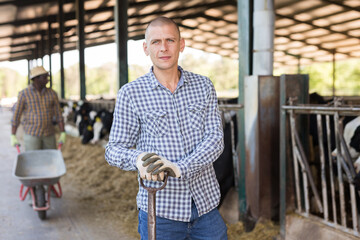 Wall Mural - Portrait of modern young farmer engaged in breeding of cows posing in open cowshed on summer day