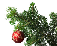 Red Bauble On Green Christmas Fir Tree On Background
