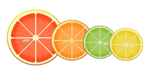 Here is an illustration showing citrus fruit slices isolated on a blue background.