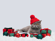 British Cat In A Knitted Red Hat On A Snowy Winter Background. Christmas Cat With Gifts And Festive Decor On A Blue Background With A Copy Space. Chinese New Year 2023 Symbol.