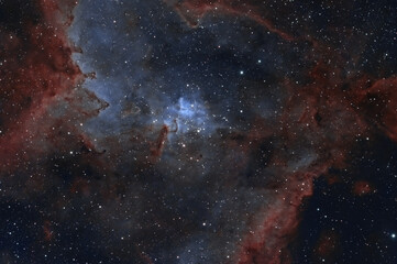 Wall Mural - Melotte 15 - Core of the Heart Nebula in Cassiopeia